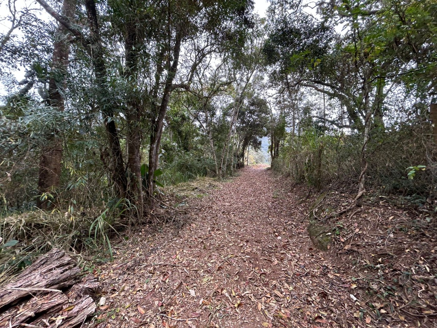 Terreno à venda, 178000m² - Foto 24