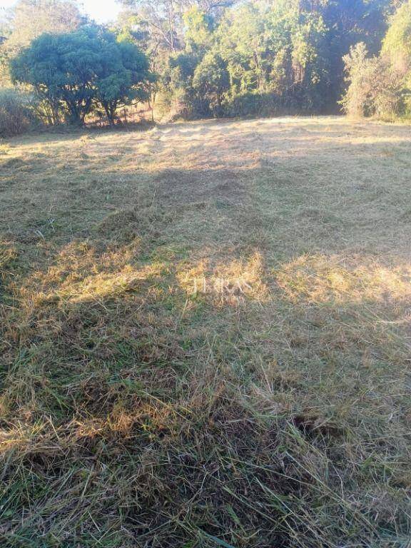 Loteamento e Condomínio, 12 hectares - Foto 2