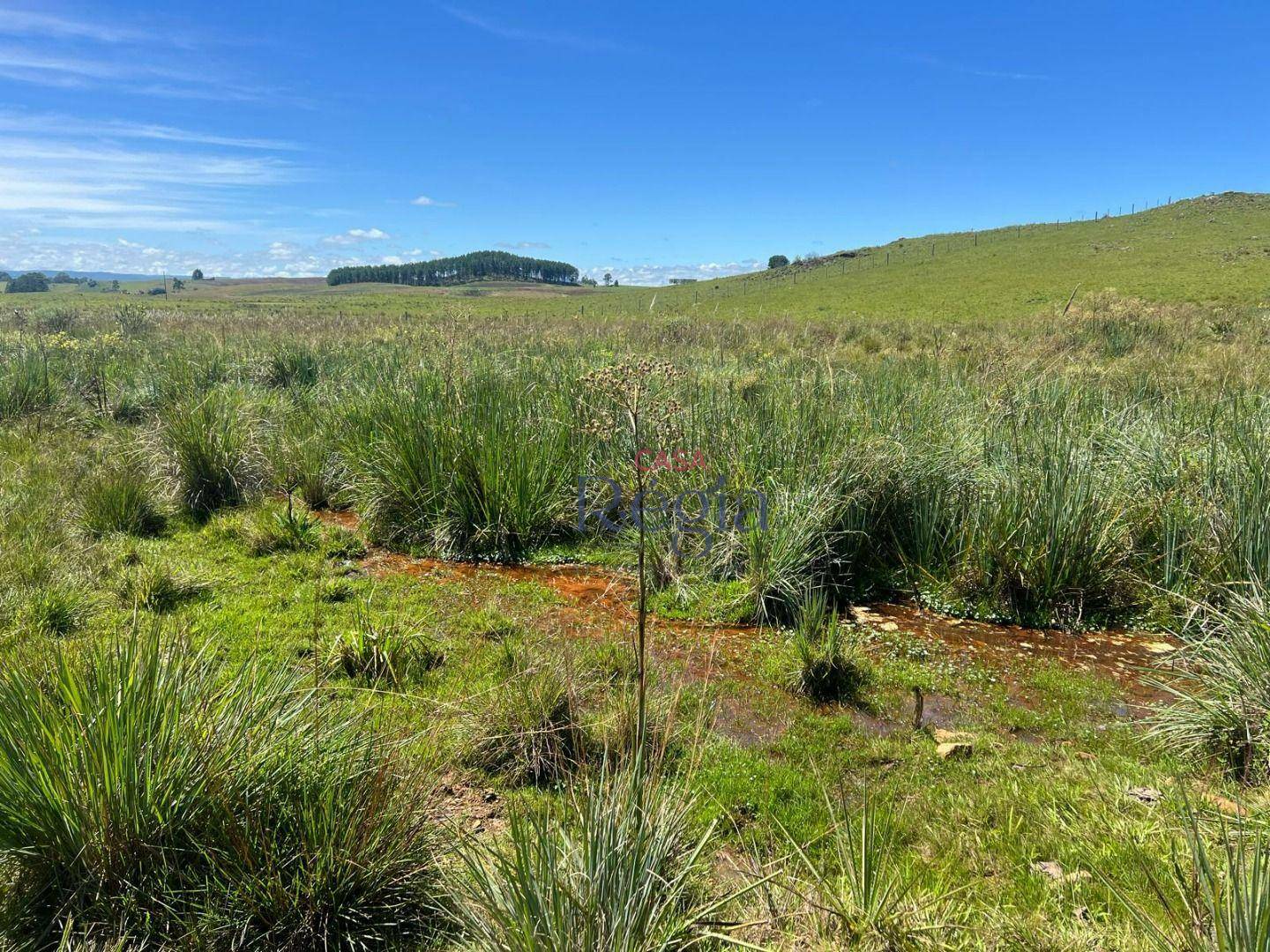 Sítio à venda, 150000M2 - Foto 17