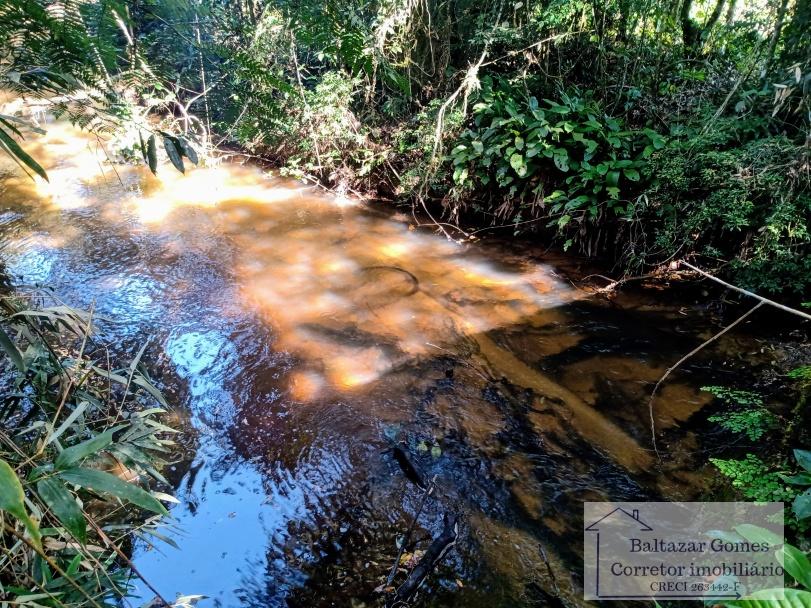 Fazenda à venda com 2 quartos, 72000m² - Foto 4