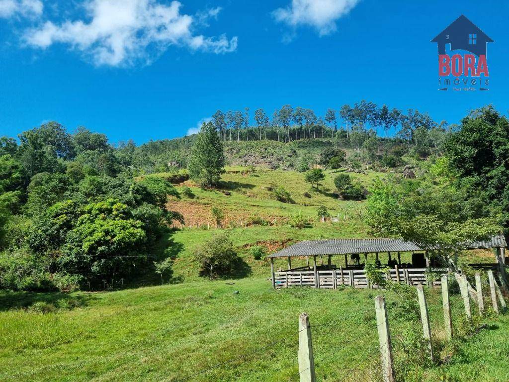 Fazenda à venda com 2 quartos, 1113200M2 - Foto 6