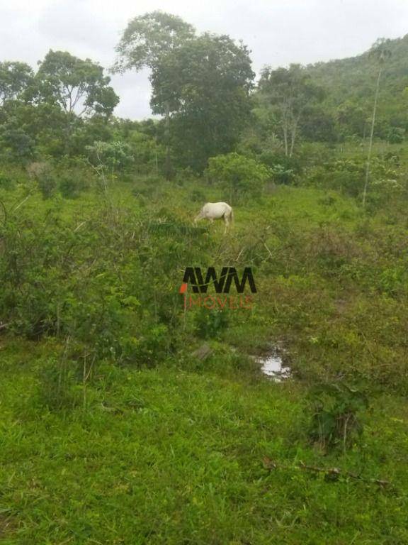 Fazenda-Sítio-Chácara, 697 hectares - Foto 5