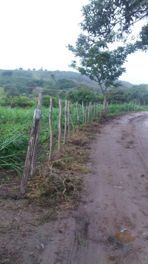 Chácara à venda com 4 quartos, 75000m² - Foto 5