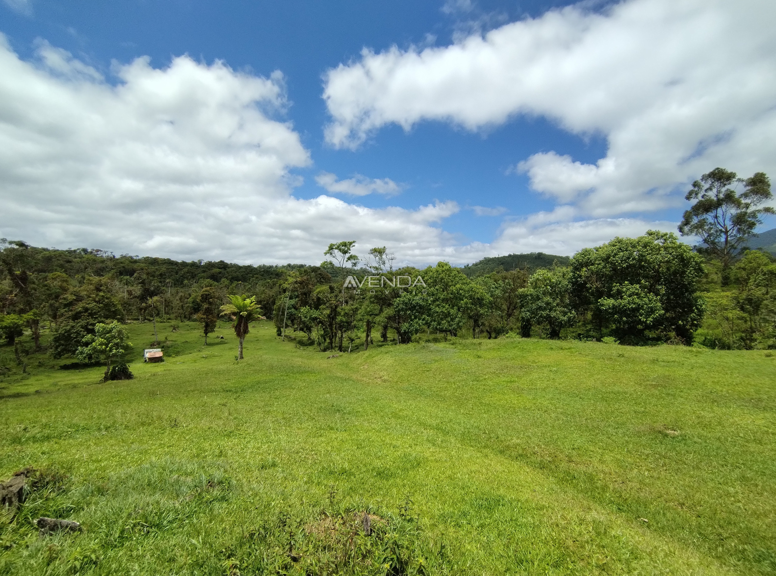 Fazenda à venda com 6 quartos, 208036m² - Foto 19