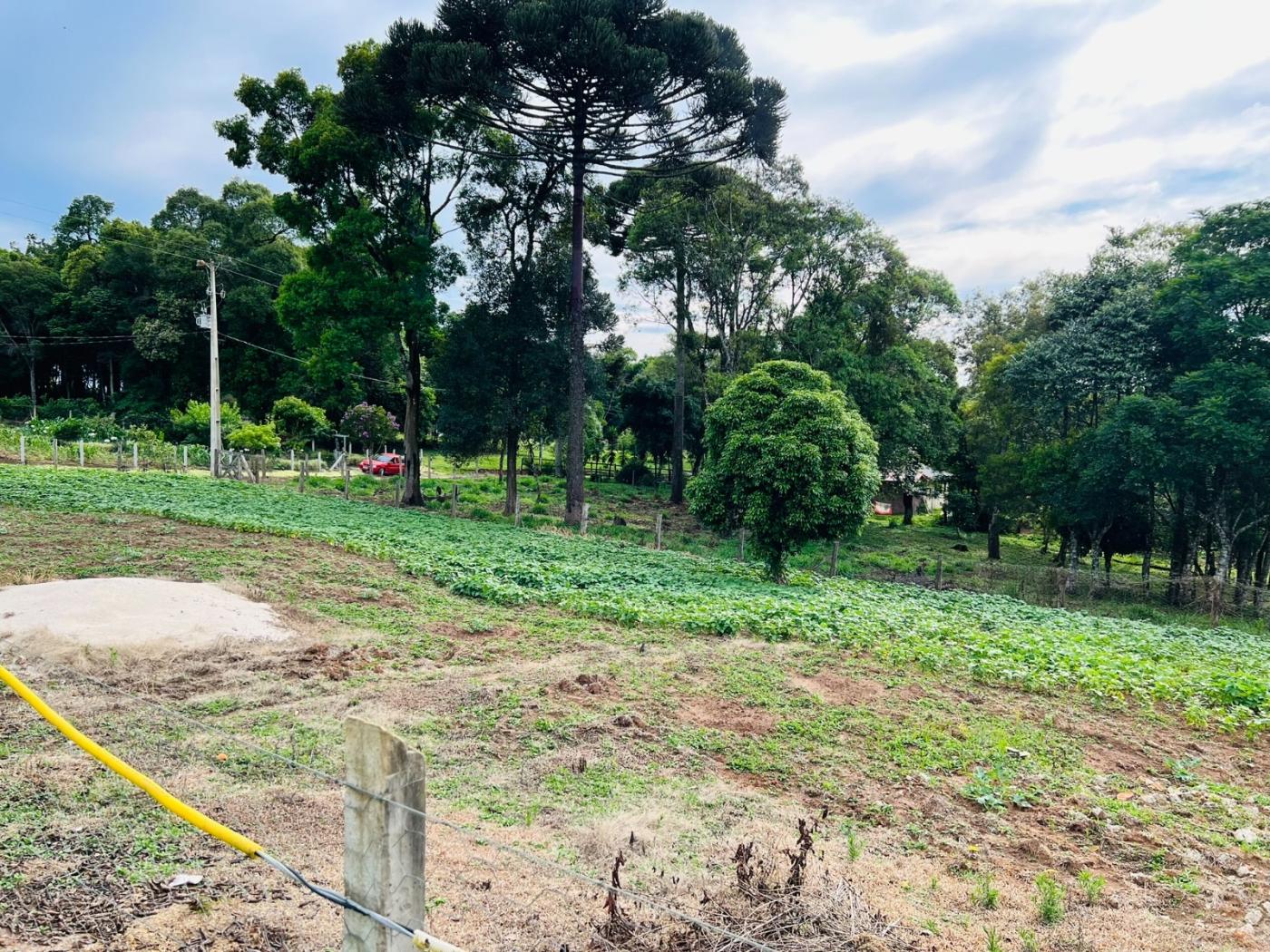 Chácara à venda, 28000m² - Foto 61
