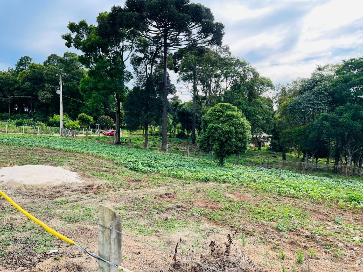 Fazenda à venda, 28000m² - Foto 61