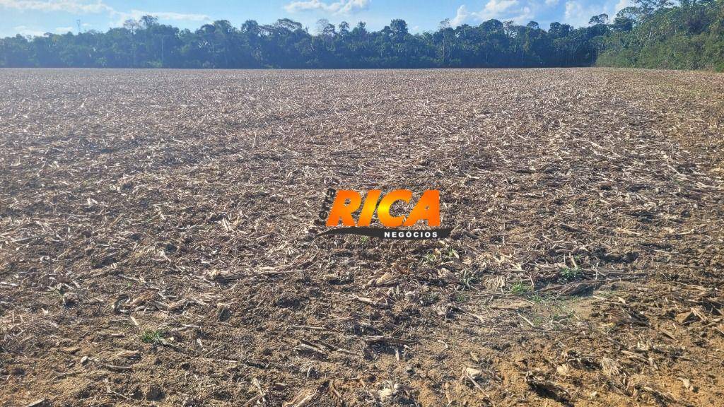 Fazenda-Sítio-Chácara, 192 hectares - Foto 9