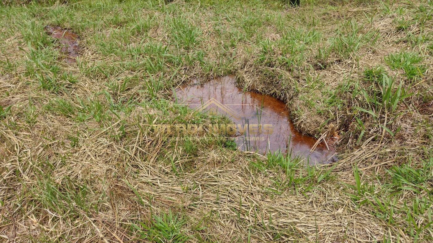 Fazenda à venda, 13m² - Foto 22