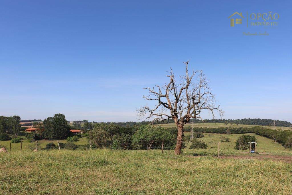 Haras e Área Rural Padrão à venda com 7 quartos, 1200m² - Foto 34