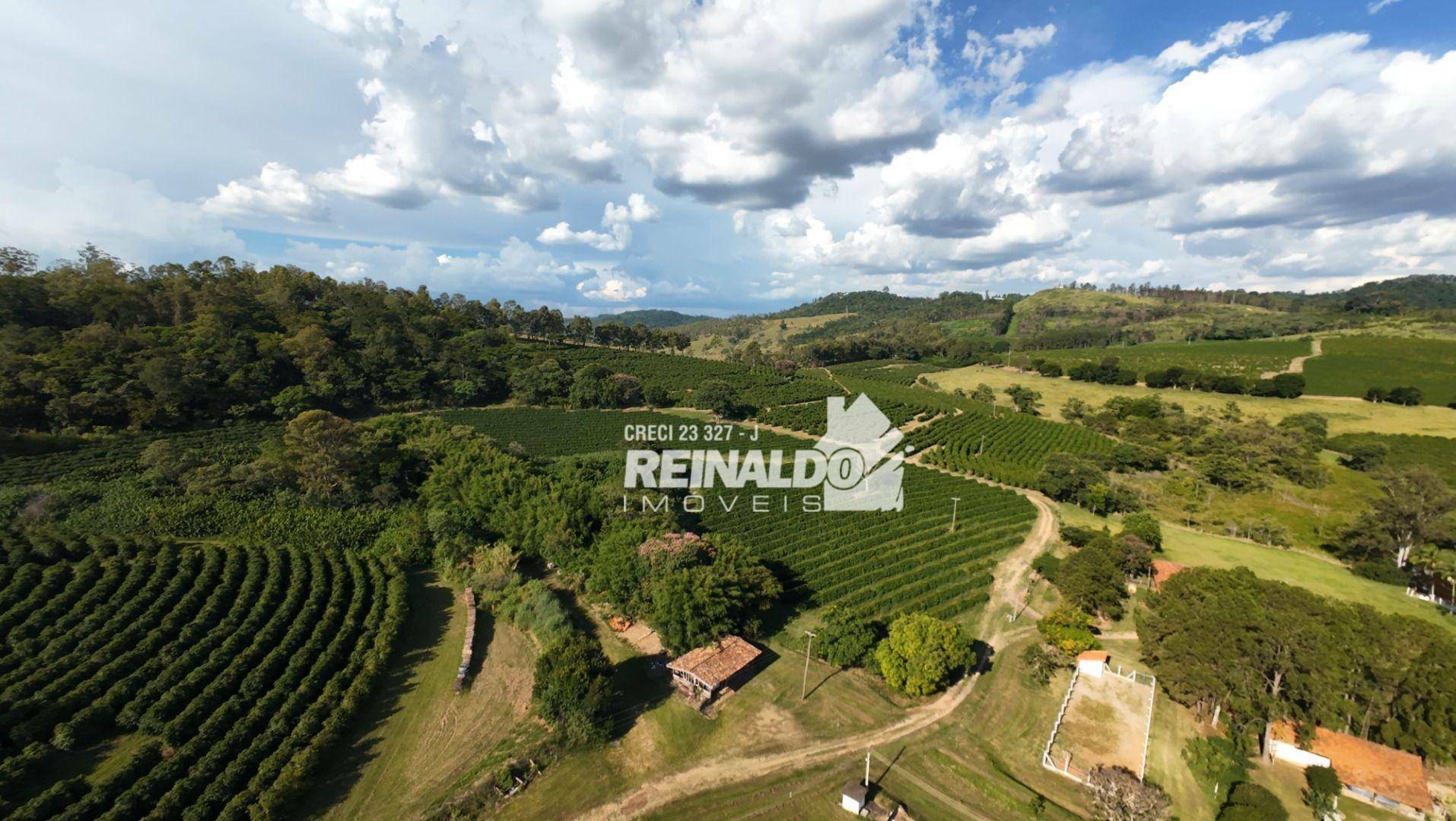 Fazenda à venda com 9 quartos, 5000m² - Foto 19
