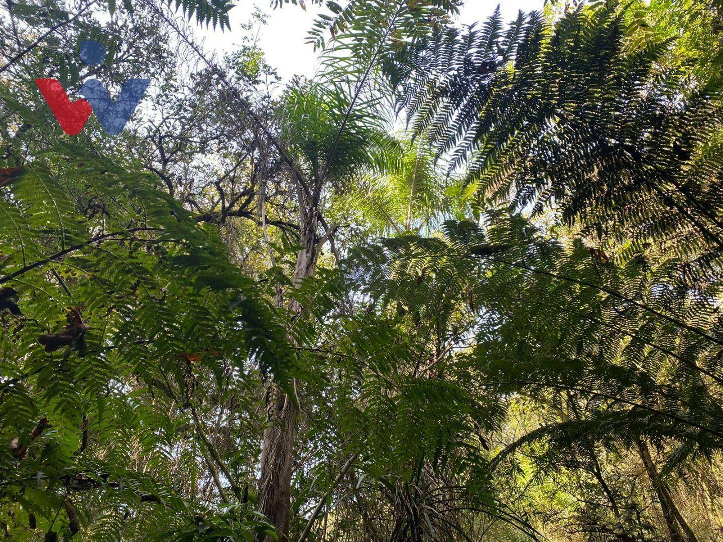 Chácara à venda com 1 quarto, 47270M2 - Foto 8