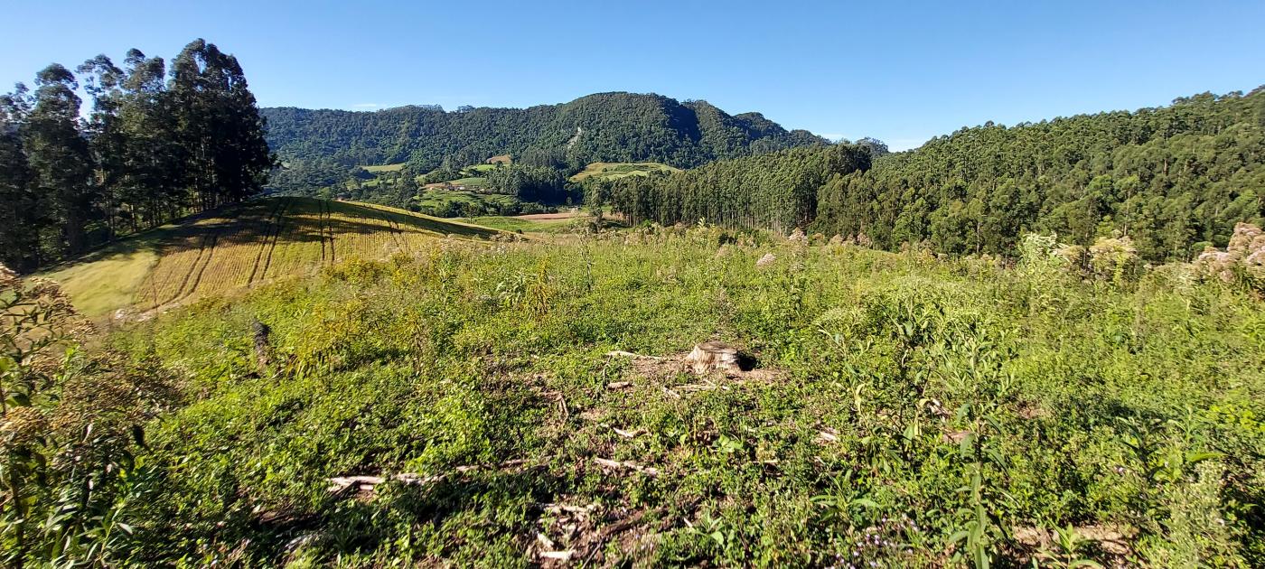 Fazenda à venda, 100000m² - Foto 11