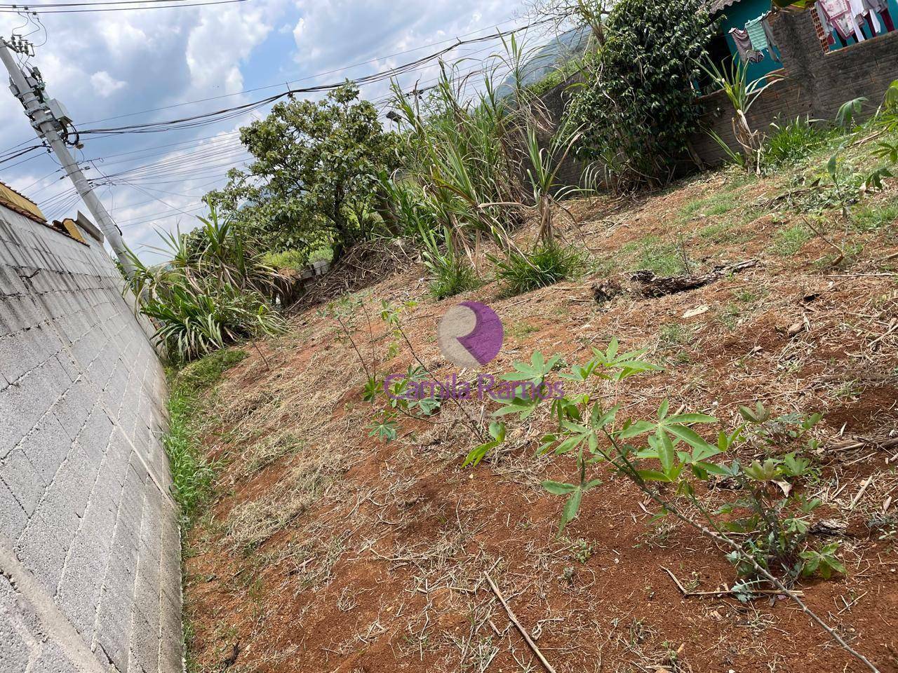 Terreno à venda, 250M2 - Foto 8