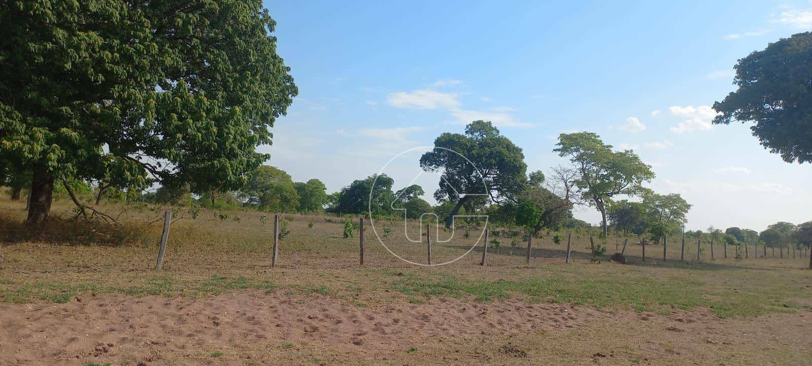 Fazenda à venda, 14500000M2 - Foto 14