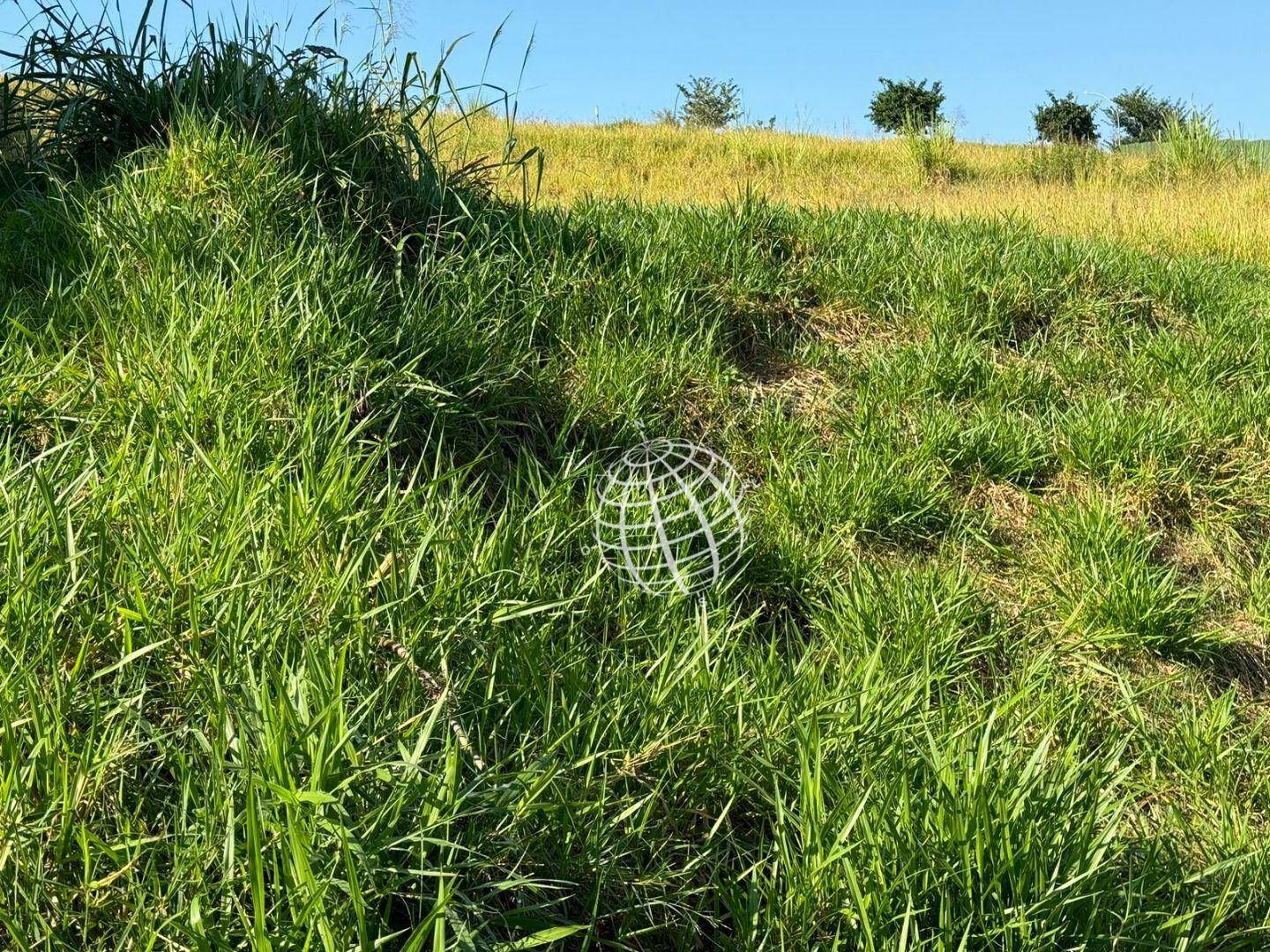 Loteamento e Condomínio à venda, 727M2 - Foto 6