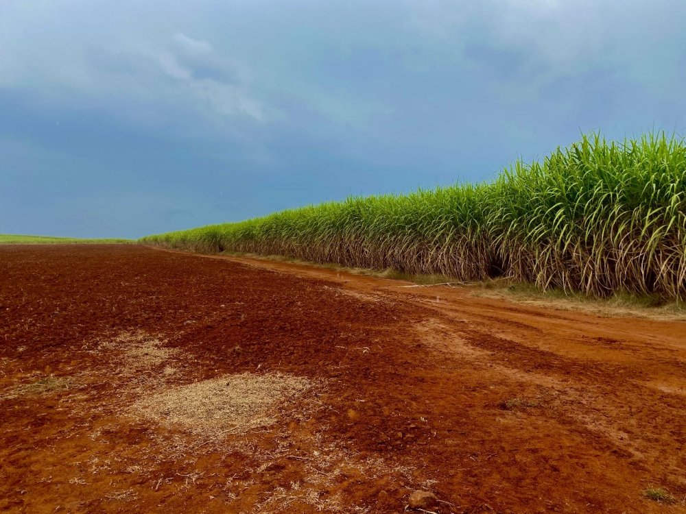 Fazenda-Sítio-Chácara, 34 m² - Foto 2
