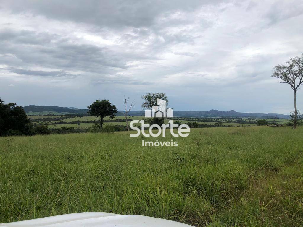 Fazenda à venda, 119420000M2 - Foto 1