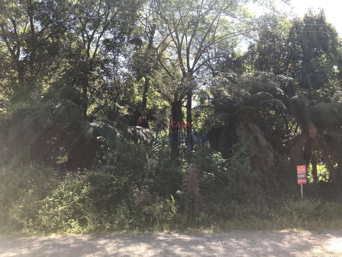 Terreno à venda, 838M2 - Foto 10