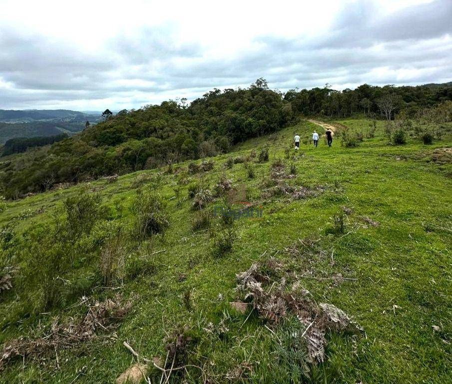 Terreno, 10 hectares - Foto 8