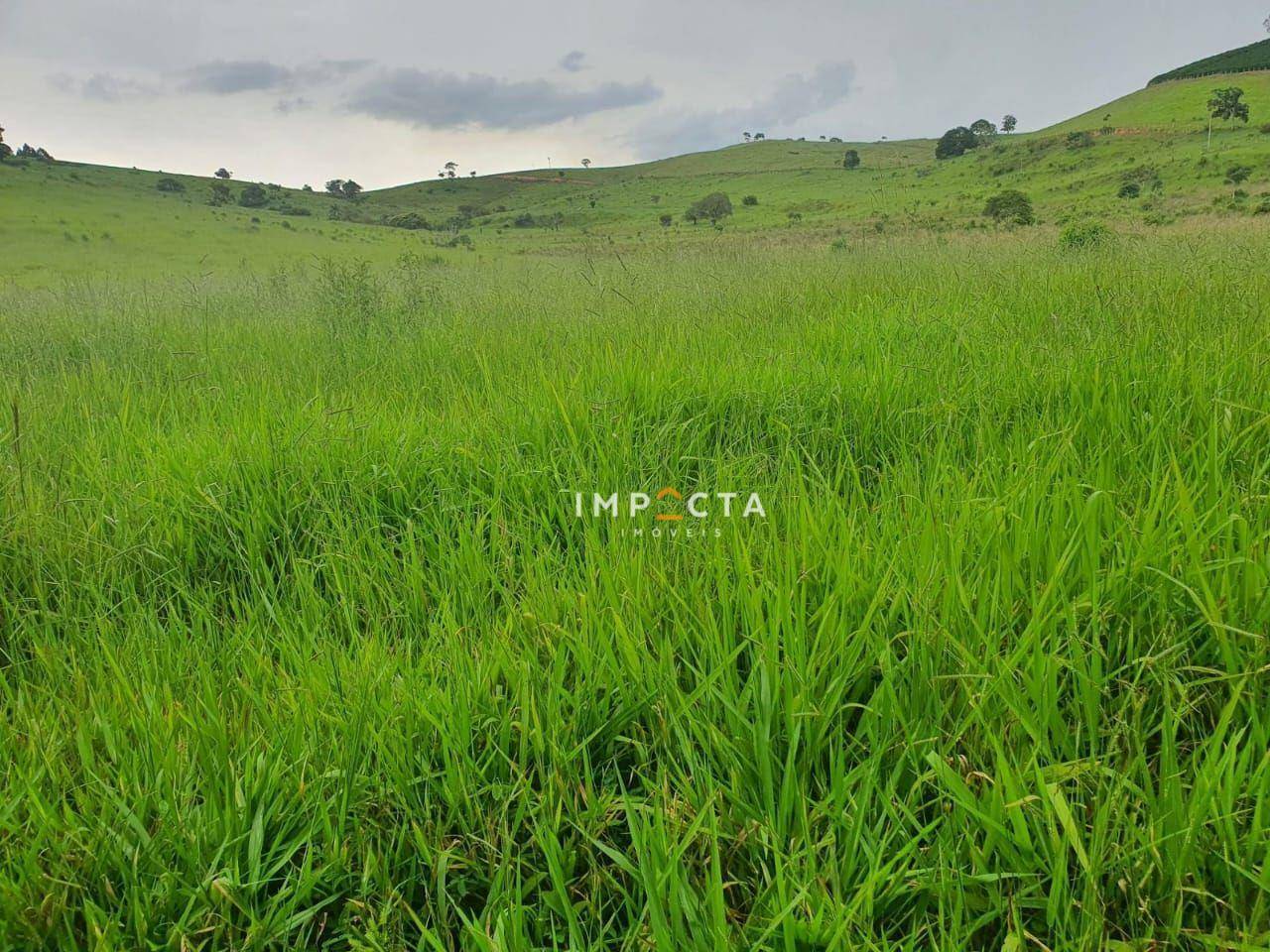 Fazenda-Sítio-Chácara, 494 hectares - Foto 4