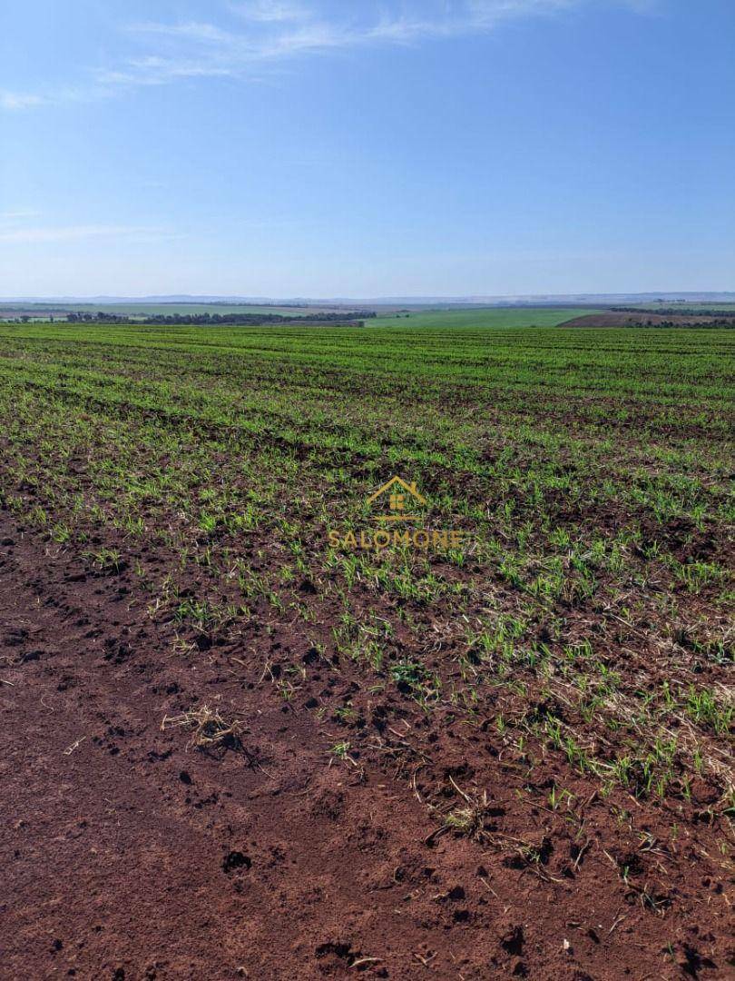 Fazenda, 10000 hectares - Foto 1