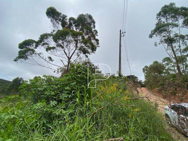 Terreno, 27 hectares - Foto 17