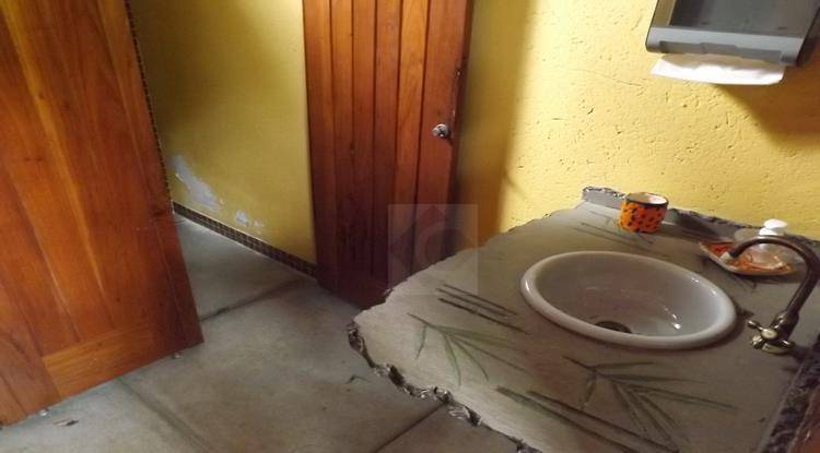 Chácara à venda com 4 quartos, 1600m² - Foto 64