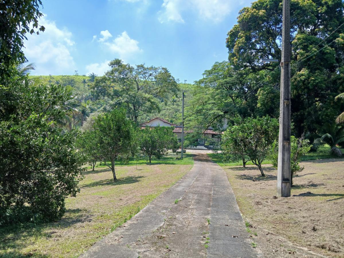 Fazenda à venda com 3 quartos, 26000m² - Foto 13