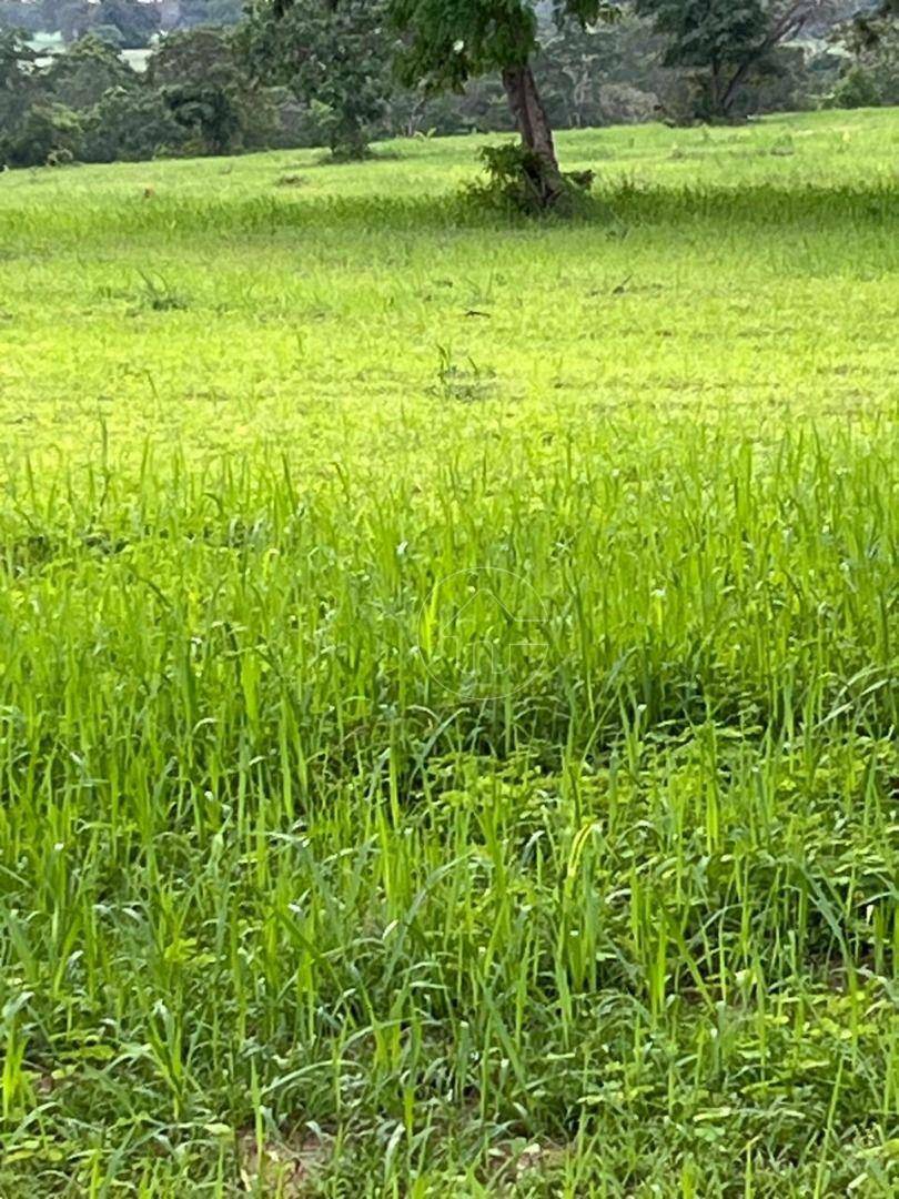 Fazenda à venda, 12000000M2 - Foto 2