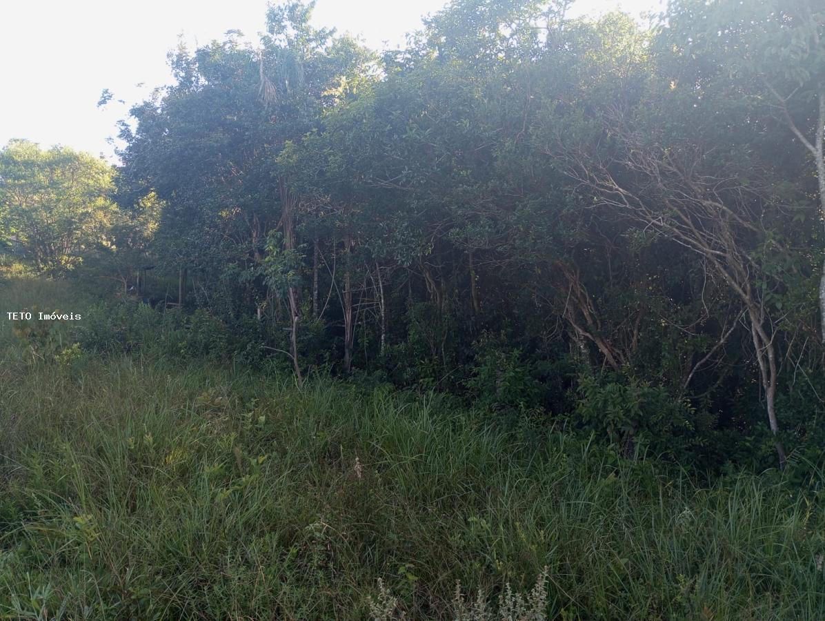 Terreno, 5000 m² - Foto 7