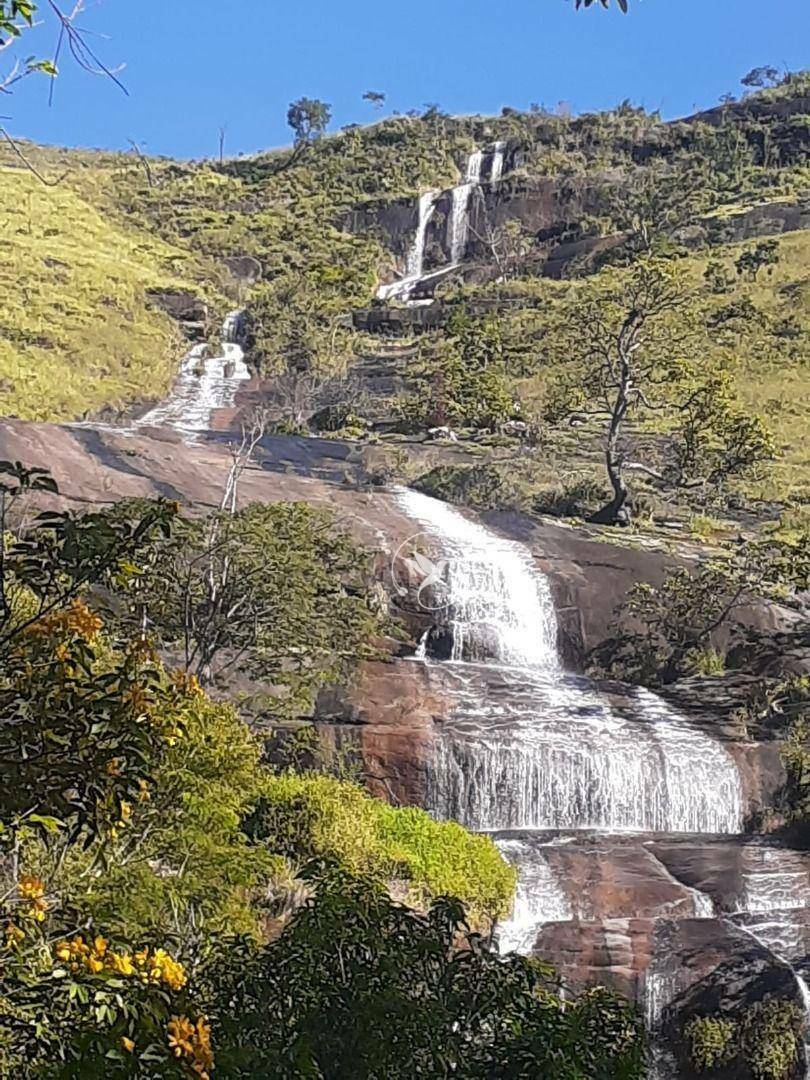 Sítio à venda com 3 quartos, 8000M2 - Foto 65