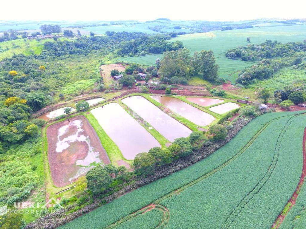 Fazenda à venda, 774400M2 - Foto 11