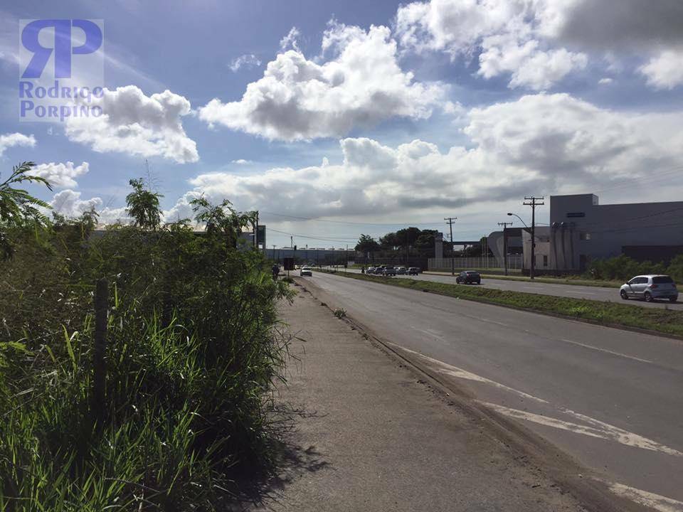 Terreno à venda, 5000M2 - Foto 5