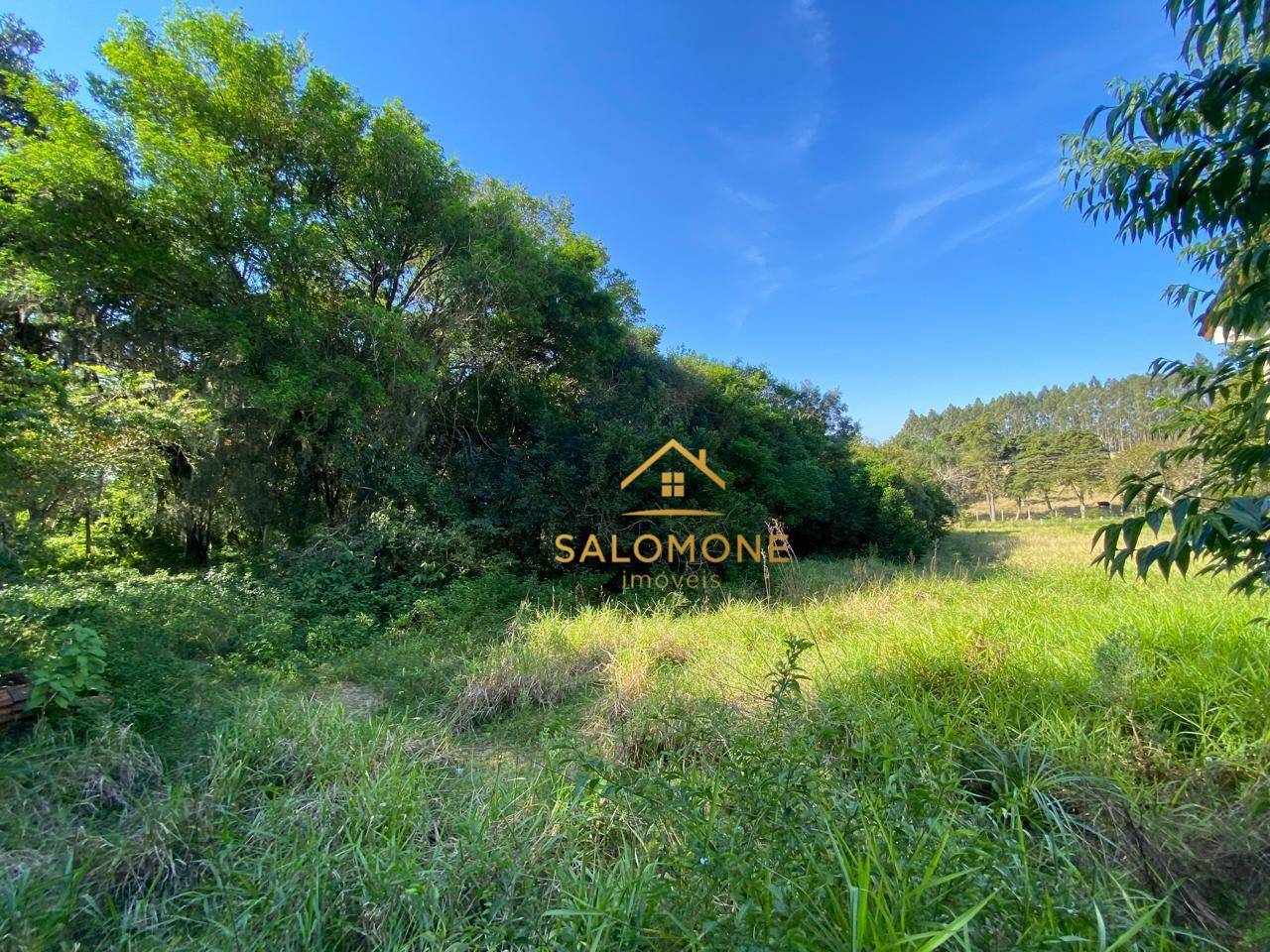 Sítio, 3 hectares - Foto 16