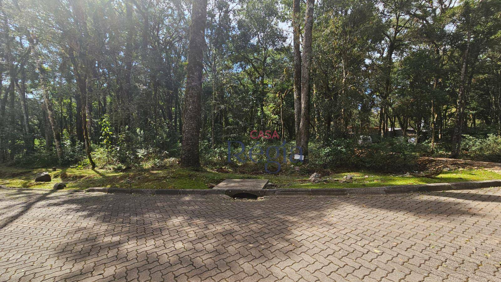 Loteamento e Condomínio à venda, 646M2 - Foto 16