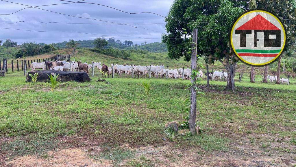 Fazenda à venda, 4114000M2 - Foto 15