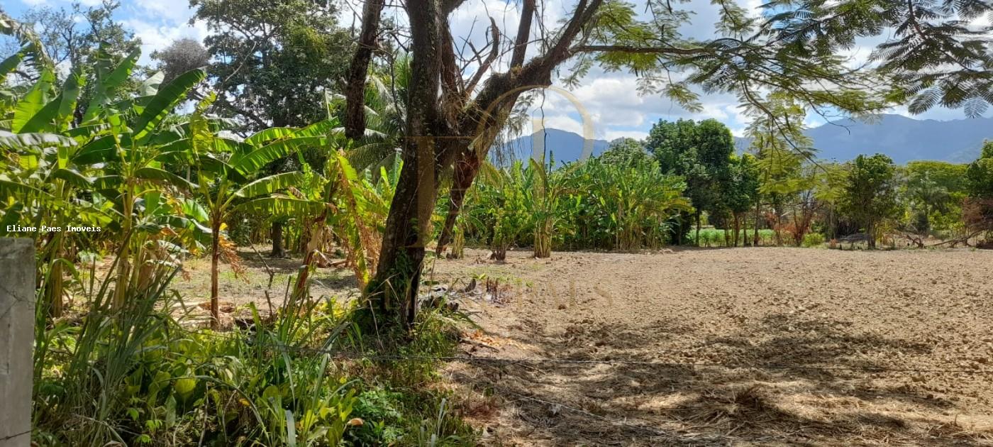 Sítio à venda com 4 quartos, 2100m² - Foto 8