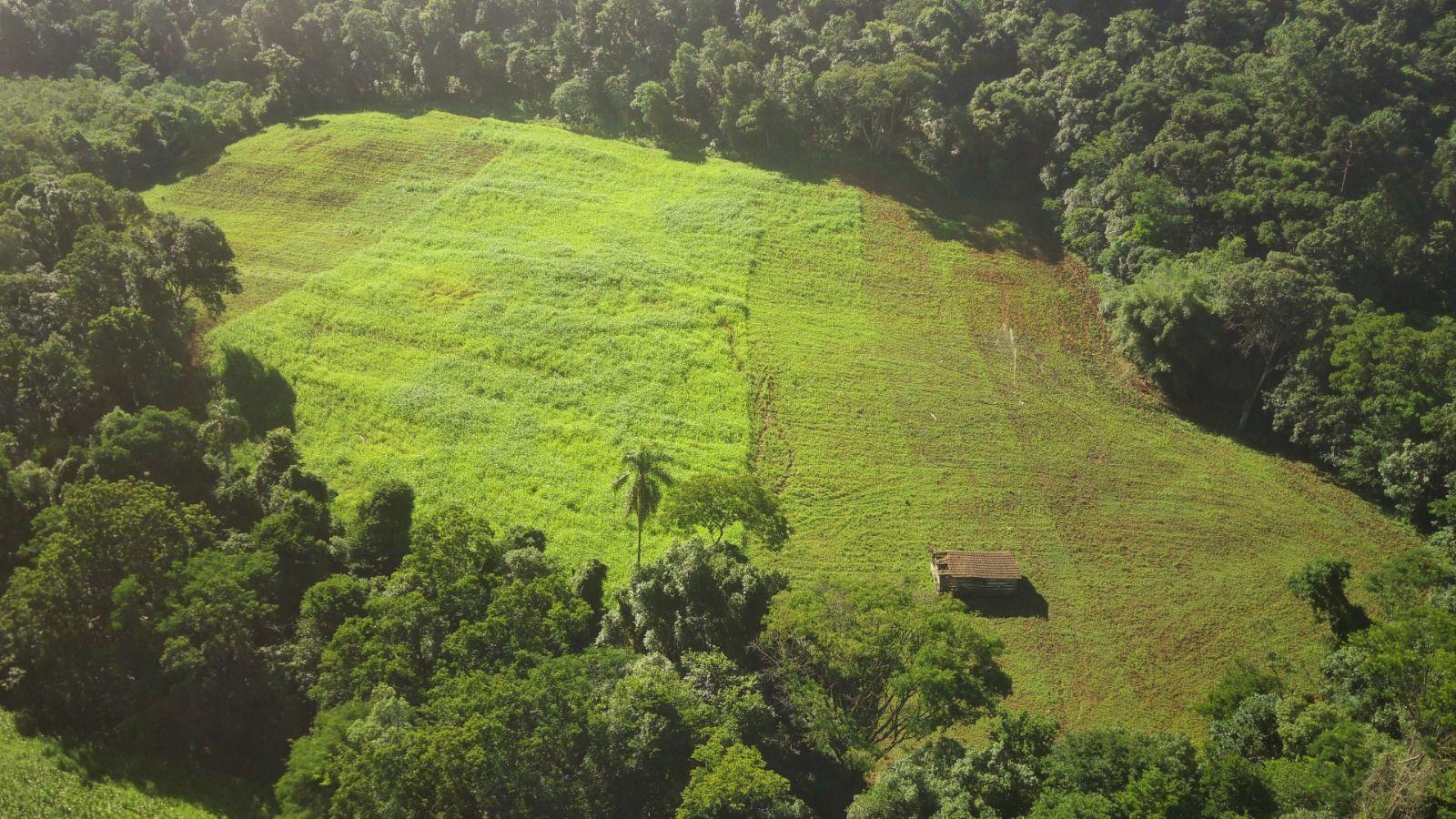 Loteamento e Condomínio à venda, 196000m² - Foto 9