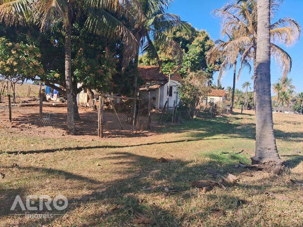 Sítio à venda com 4 quartos, 600m² - Foto 9