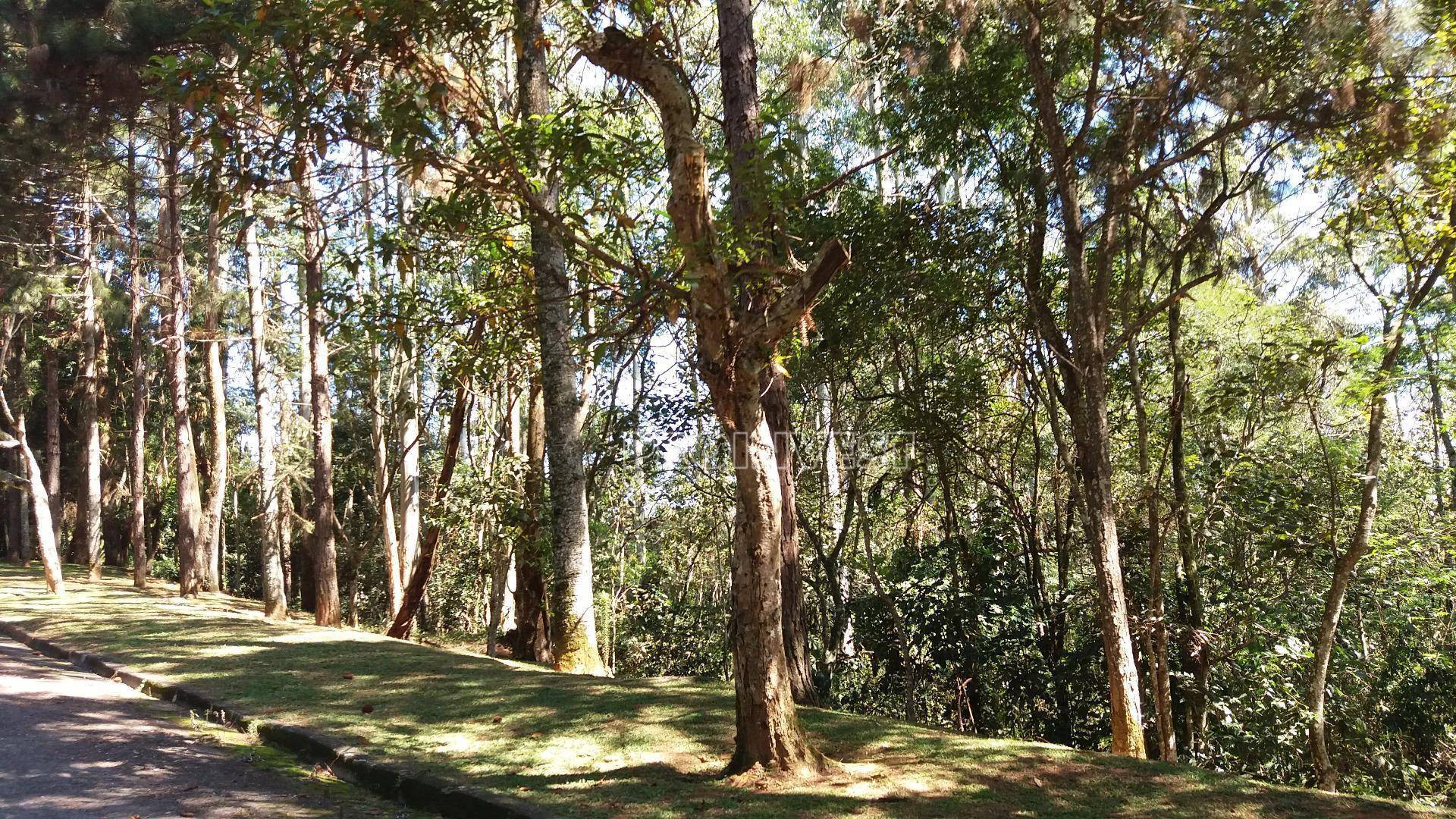 Loteamento e Condomínio, 3688 m² - Foto 10