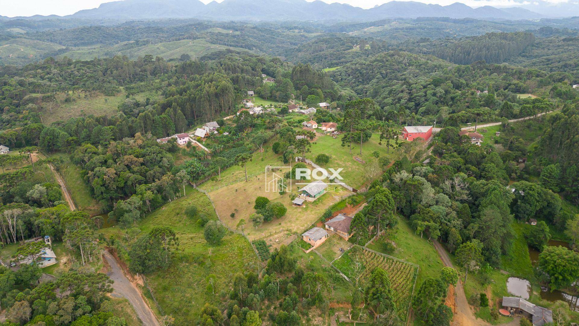 Chácara à venda com 10 quartos, 34360M2 - Foto 17