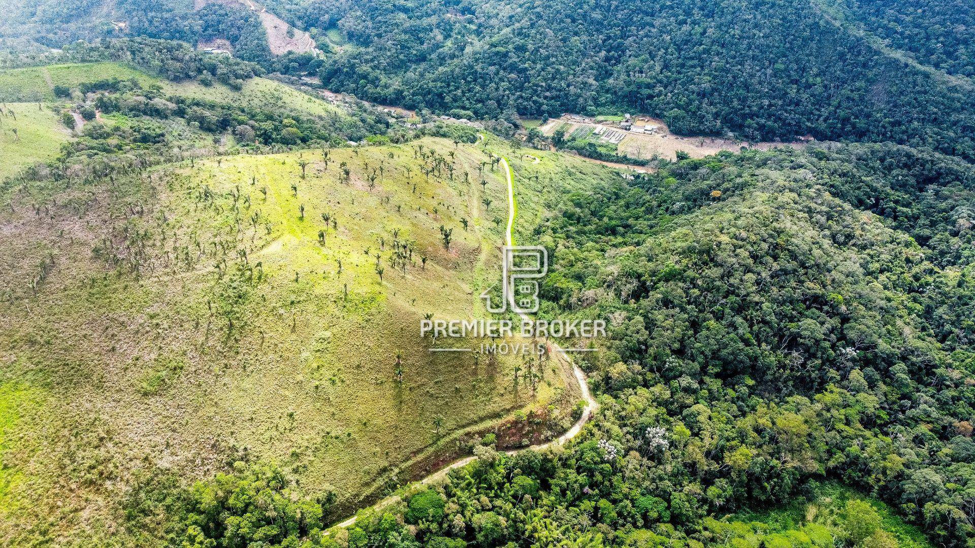 Fazenda à venda com 39 quartos, 1000m² - Foto 4