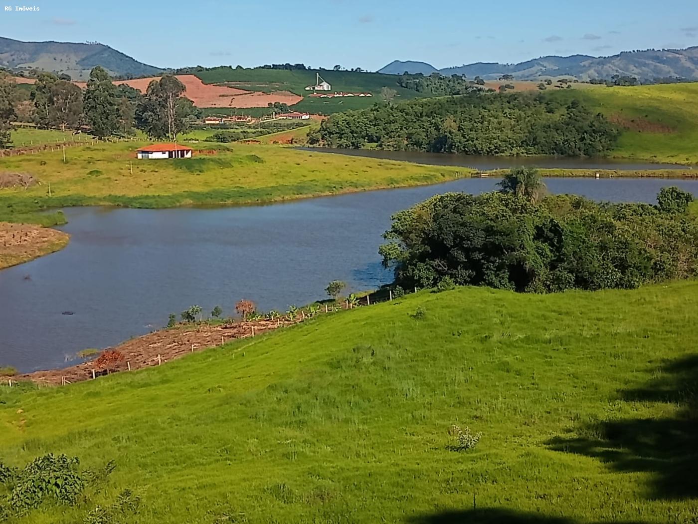 Fazenda à venda com 5 quartos, 320m² - Foto 16
