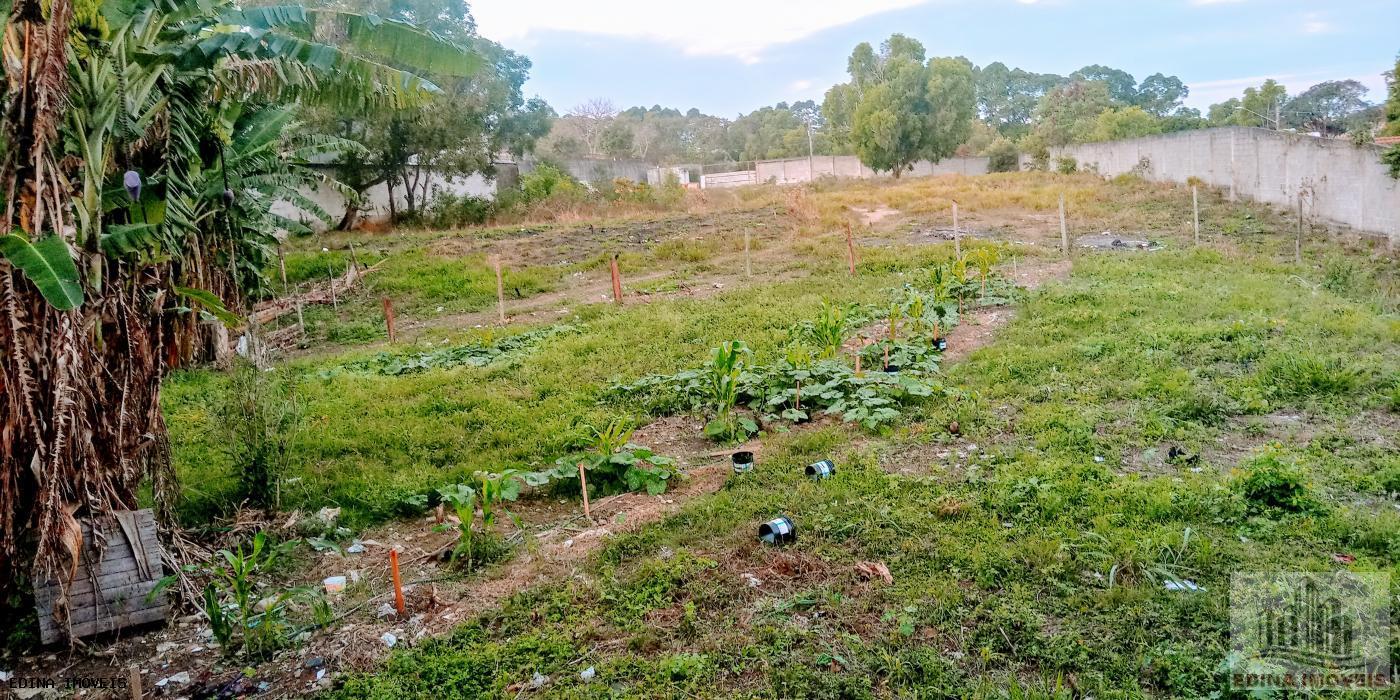 Terreno à venda, 4300m² - Foto 2