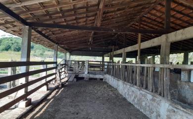 Fazenda à venda com 3 quartos, 110000m² - Foto 3