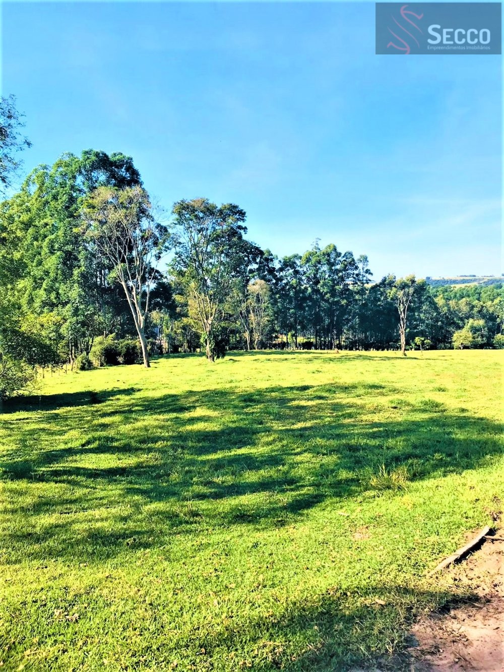 Fazenda à venda, 13000m² - Foto 1