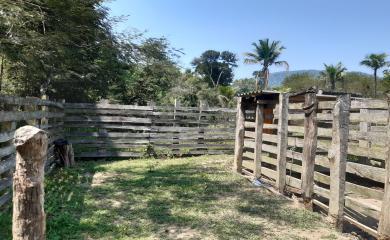 Fazenda à venda com 1 quarto, 240000m² - Foto 14