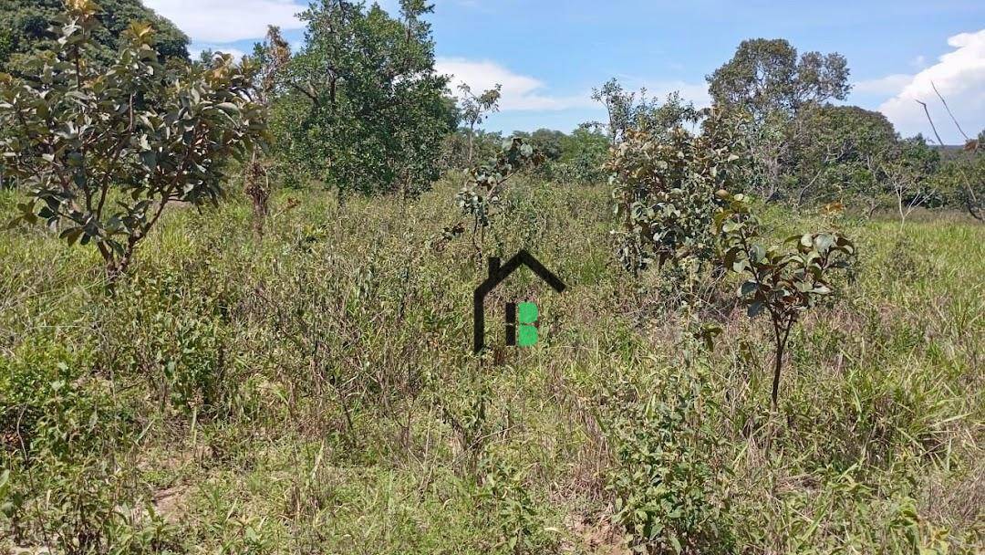 Fazenda, 108 hectares - Foto 2