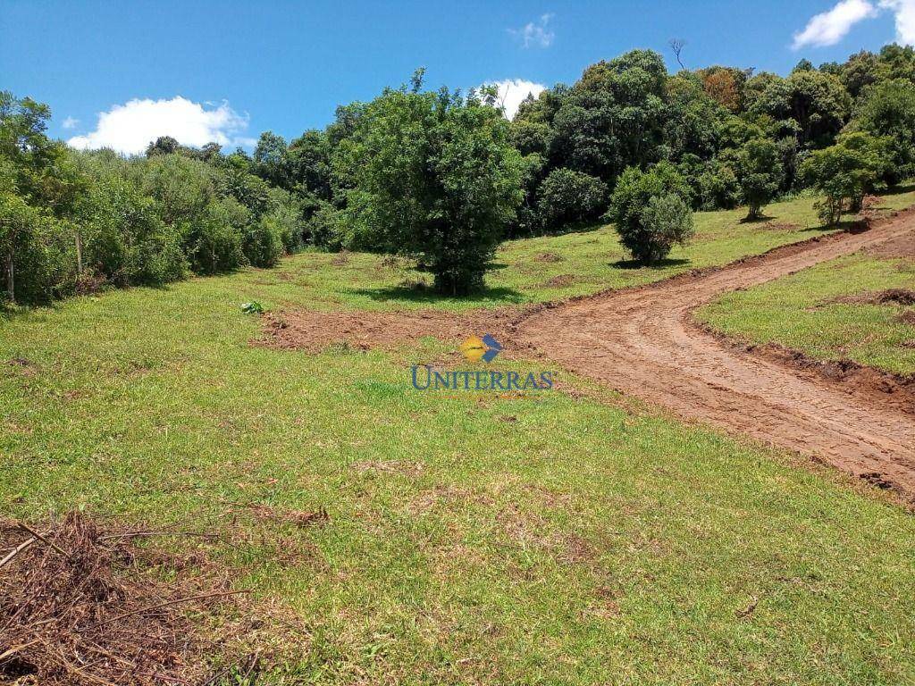 Chácara à venda, 10000M2 - Foto 1