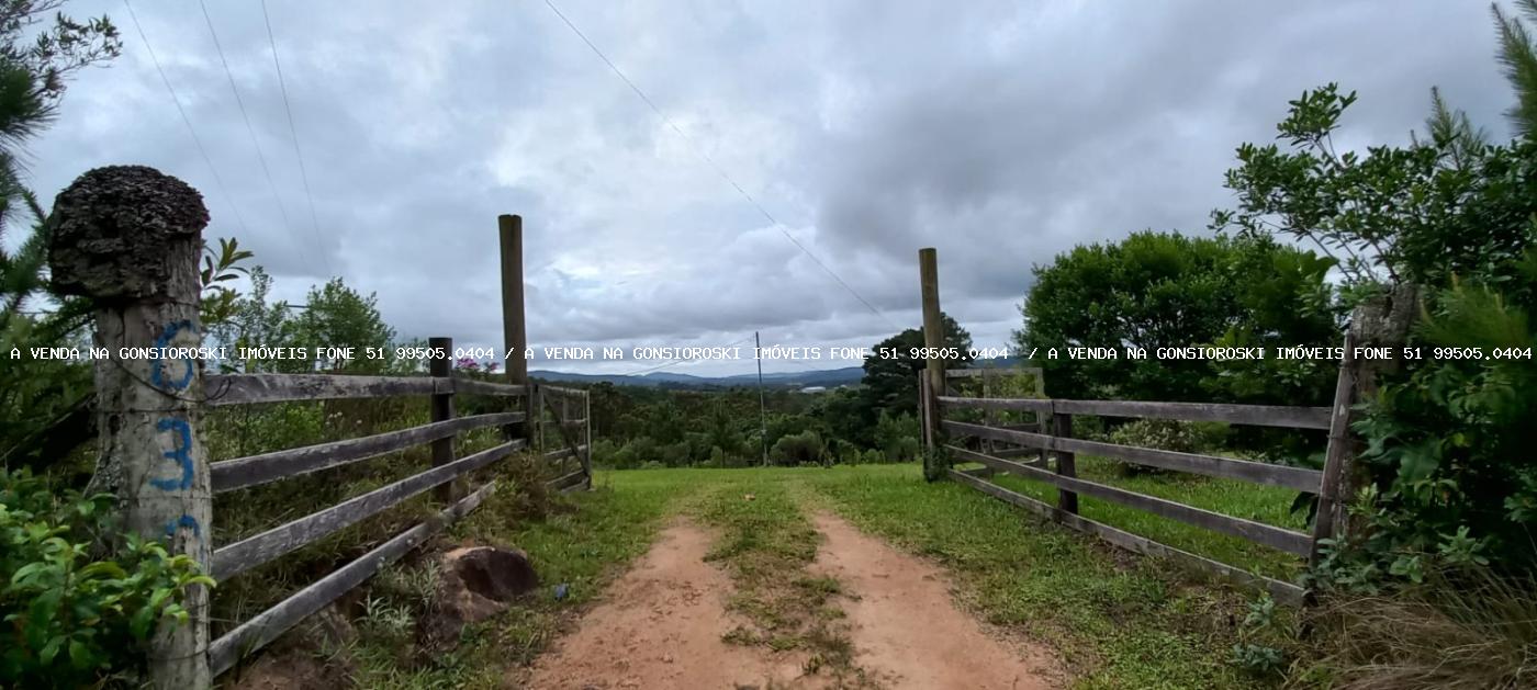 Fazenda à venda com 3 quartos, 3m² - Foto 18